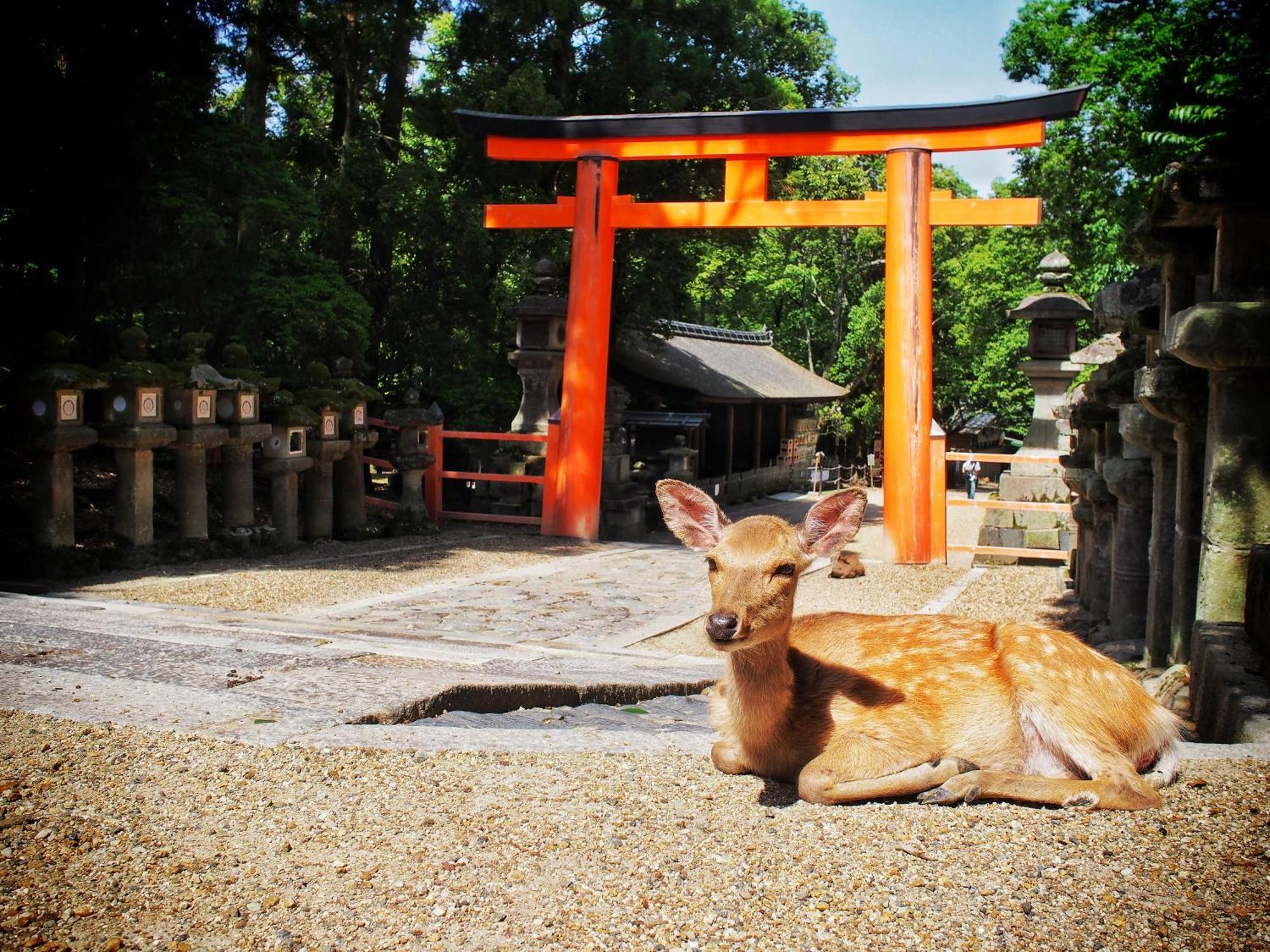 Slow House Nara Exterior foto